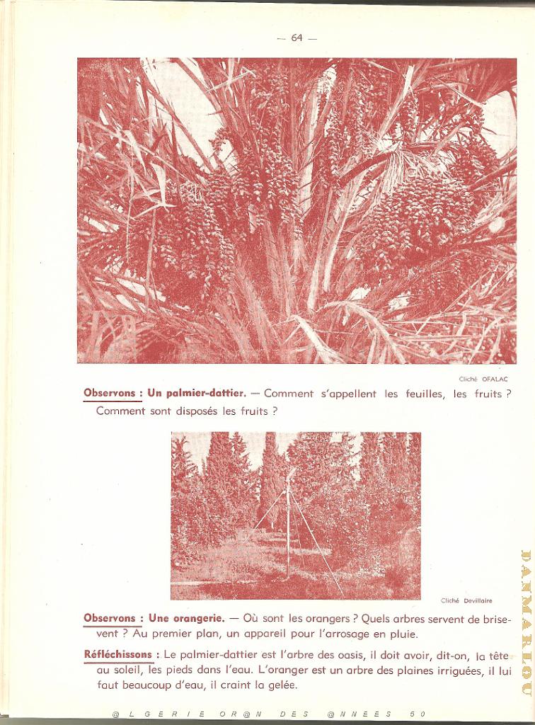GEO CE1 CE2 DES ANNEES 50 PAGE (64).jpg